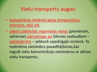 Vielu transports augos:
• transpirāciju ietekmē gaisa temperatūra,
mitrums, vējš utt.
• ūdenī izšķīdušās organiskās vielas (piemēram,
saharoze) pārvietojas pa lūksnes vadaudiem –
sietstobriem – jebkurā vajadzīgajā virzienā. To
nodrošina sietstobru pavadītājšūnas,kas
regulē vielu koncentrāciju sietstobros ar aktīvo
vielu transportu.
 