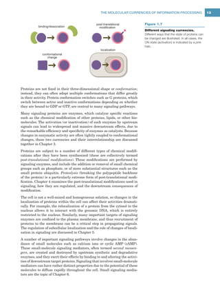 Cell Signaling Principles And Mechanisms 1st Edition Wendell Lim | PDF
