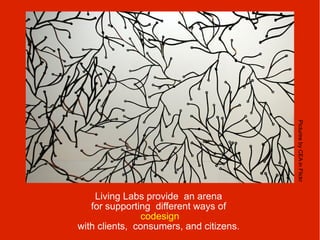 Picturire by CEA in Flickr
    Living Labs provide an arena
   for supporting different ways of
                codesign
with clients, consumers, and citizens.
 