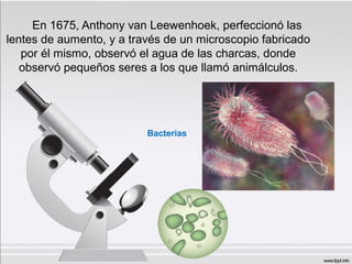 En 1675, Anthony van Leewenhoek, perfeccionó las
lentes de aumento, y a través de un microscopio fabricado
por él mismo, observó el agua de las charcas, donde
observó pequeños seres a los que llamó animálculos.
Bacterias
 