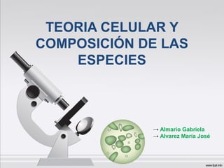 TEORIA CELULAR Y
COMPOSICIÓN DE LAS
ESPECIES
→ Almario Gabriela
→ Alvarez Maria José
 