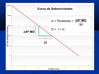 1
10
100
1000
10000
100000
1000000
0 1 2 3 4 5 6
Nºdesobrevivientes
Tiempo (min)
Curva de Sobrevivientes
∆t
∆Nº MO
m = Pendiente = ∆Nº MO
∆t
D = 1 / m
 