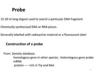 Probe
15-20 nt long oligont used to search a particular DNA fragment
Chemically synthesized DNA or RNA pieces
Generally labelled with radioactive material or a fluoroscent label
Construction of a probe
From Genetic database
homologous gene in other species : heterologous gene probe
mRNA
protein----- rich in Trp and Met
13
 