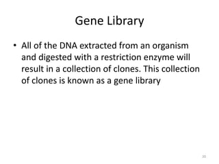 Gene Library
• All of the DNA extracted from an organism
and digested with a restriction enzyme will
result in a collection of clones. This collection
of clones is known as a gene library
20
 