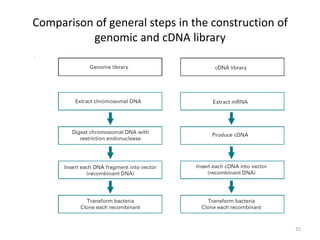 Comparison of general steps in the construction of
genomic and cDNA library
25
 