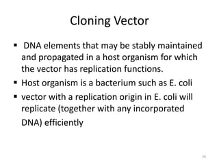 Cloning Vector
 DNA elements that may be stably maintained
and propagated in a host organism for which
the vector has replication functions.
 Host organism is a bacterium such as E. coli
 vector with a replication origin in E. coli will
replicate (together with any incorporated
DNA) efficiently
26
 