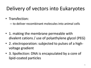 Delivery of vectors into Eukaryotes
• Transfection:
– to deliver recombinant molecules into animal cells
• 1. making the membrane permeable with
divalent cations / use of polyethylene glycol (PEG)
• 2. electroporation: subjected to pulses of a high-
voltage gradient
• 3. lipofection: DNA is encapsulated by a core of
lipid-coated particles
35
 