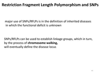43
Restriction Fragment Length Polymorphism and SNPs
major use of SNPs/RFLPs is in the definition of inherited diseases
in which the functional deficit is unknown
SNPs/RFLPs can be used to establish linkage groups, which in turn,
by the process of chromosome walking,
will eventually define the disease locus
 