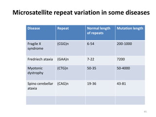 Disease Repeat Normal length
of repeats
Mutation length
Fragile X
syndrome
(CGG)n 6-54 200-1000
Fredriech ataxia (GAA)n 7-22 7200
Myotonic
dystrophy
(CTG)n 50-35 50-4000
Spino cerebellar
ataxia
(CAG)n 19-36 43-81
Microsatellite repeat variation in some diseases
45
 