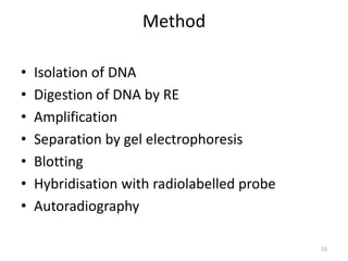 Method
• Isolation of DNA
• Digestion of DNA by RE
• Amplification
• Separation by gel electrophoresis
• Blotting
• Hybridisation with radiolabelled probe
• Autoradiography
53
 