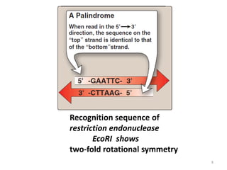 Recognition sequence of
restriction endonuclease
EcoRI shows
two-fold rotational symmetry
8
 