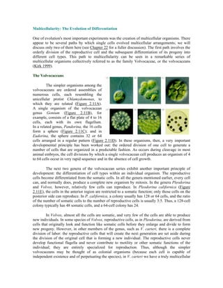 Developmental Biology 7th Edition Scott F Gilbert | PDF