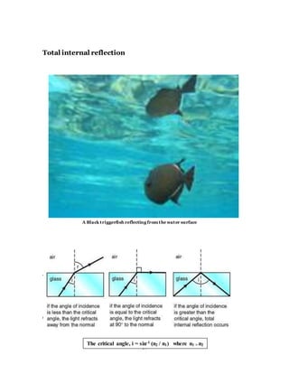 17
Total internal reflection
-
Critical angle, I =
A Black triggerfish reflecting from the water surface
The critical angle, i = sin-1 (n2 / n1) where n1 > n2
 