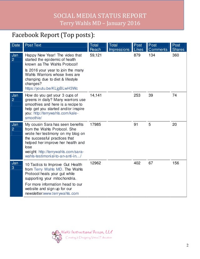 what is a status report
