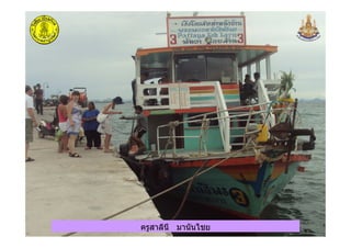 ครูสาลินี มานันไชยครูสาลินี มานันไชย
 