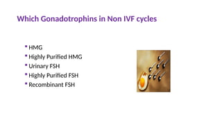 Which Gonadotrophins in Non IVF cycles
 HMG
 Highly Purified HMG
 Urinary FSH
 Highly Purified FSH
 Recombinant FSH
 