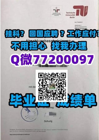 113柏林工业大学.pdf