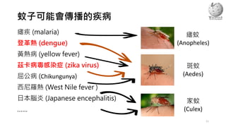 蚊子可能會傳播的疾病
瘧疾 (malaria)
登革熱 (dengue)
黃熱病 (yellow fever)
茲卡病毒感染症 (zika virus)
屈公病 (Chikungunya)
西尼羅熱 (West Nile fever )
日本腦炎 (Japanese encephalitis)
……
瘧蚊
(Anopheles)
斑蚊
(Aedes)
家蚊
(Culex)
11
 