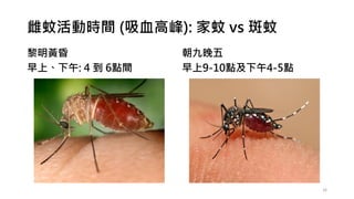 雌蚊活動時間 (吸血高峰): 家蚊 vs 斑蚊
黎明黃昏
早上、下午: 4 到 6點間
朝九晚五
早上9-10點及下午4-5點
16
 