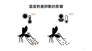 溫度對產卵數的影響
30°C 20°C
18
 