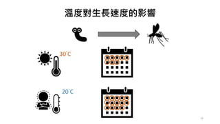 溫度對生長速度的影響
30°C
20°C
19
 