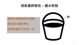 斑蚊產卵習性 – 遇水則發
產卵在容器接近水面處
遇水數分鐘內孵化
乾燥時最多可存活一年
卵
20
 