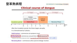 30
登革熱病程
 