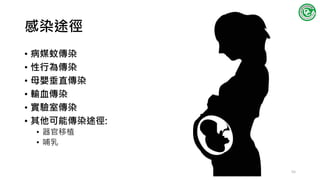 感染途徑
• 病媒蚊傳染
• 性行為傳染
• 母嬰垂直傳染
• 輸血傳染
• 實驗室傳染
• 其他可能傳染途徑:
• 器官移植
• 哺乳
55
 