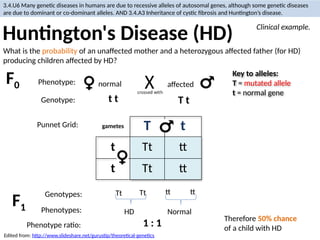 Inheritance Biology, Mendel cross hybrid.pptx