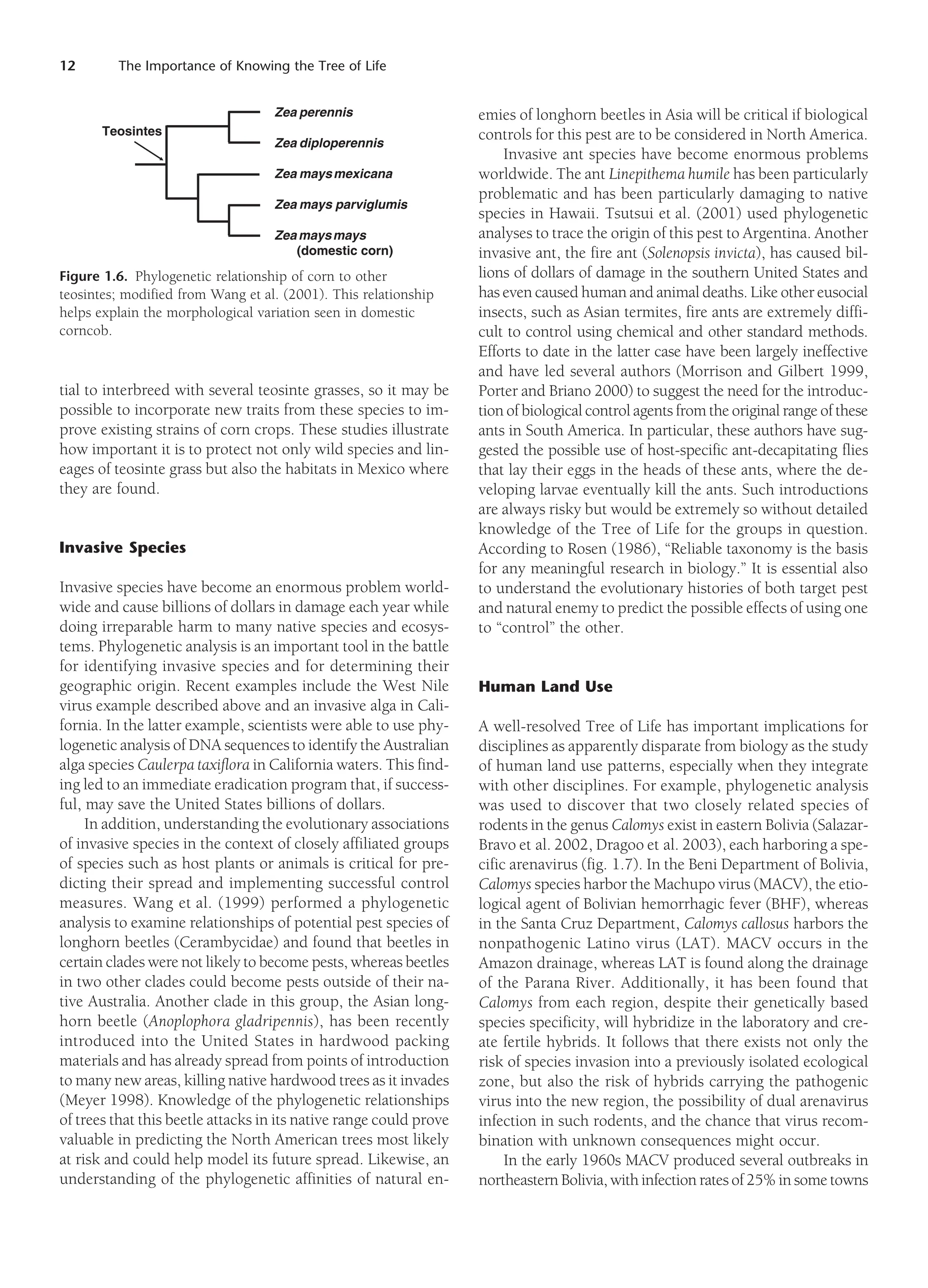 12 The Importance of Knowing the Tree of Life
tial to interbreed with several teosinte grasses, so it may be
possible to incorporate new traits from these species to im-
prove existing strains of corn crops. These studies illustrate
how important it is to protect not only wild species and lin-
eages of teosinte grass but also the habitats in Mexico where
they are found.
Invasive Species
Invasive species have become an enormous problem world-
wide and cause billions of dollars in damage each year while
doing irreparable harm to many native species and ecosys-
tems. Phylogenetic analysis is an important tool in the battle
for identifying invasive species and for determining their
geographic origin. Recent examples include the West Nile
virus example described above and an invasive alga in Cali-
fornia. In the latter example, scientists were able to use phy-
logenetic analysis of DNA sequences to identify the Australian
alga species Caulerpa taxiflora in California waters. This find-
ing led to an immediate eradication program that, if success-
ful, may save the United States billions of dollars.
In addition, understanding the evolutionary associations
of invasive species in the context of closely affiliated groups
of species such as host plants or animals is critical for pre-
dicting their spread and implementing successful control
measures. Wang et al. (1999) performed a phylogenetic
analysis to examine relationships of potential pest species of
longhorn beetles (Cerambycidae) and found that beetles in
certain clades were not likely to become pests, whereas beetles
in two other clades could become pests outside of their na-
tive Australia. Another clade in this group, the Asian long-
horn beetle (Anoplophora gladripennis), has been recently
introduced into the United States in hardwood packing
materials and has already spread from points of introduction
to many new areas, killing native hardwood trees as it invades
(Meyer 1998). Knowledge of the phylogenetic relationships
of trees that this beetle attacks in its native range could prove
valuable in predicting the North American trees most likely
at risk and could help model its future spread. Likewise, an
understanding of the phylogenetic affinities of natural en-
emies of longhorn beetles in Asia will be critical if biological
controls for this pest are to be considered in North America.
Invasive ant species have become enormous problems
worldwide. The ant Linepithema humile has been particularly
problematic and has been particularly damaging to native
species in Hawaii. Tsutsui et al. (2001) used phylogenetic
analyses to trace the origin of this pest to Argentina. Another
invasive ant, the fire ant (Solenopsis invicta), has caused bil-
lions of dollars of damage in the southern United States and
has even caused human and animal deaths. Like other eusocial
insects, such as Asian termites, fire ants are extremely diffi-
cult to control using chemical and other standard methods.
Efforts to date in the latter case have been largely ineffective
and have led several authors (Morrison and Gilbert 1999,
Porter and Briano 2000) to suggest the need for the introduc-
tion of biological control agents from the original range of these
ants in South America. In particular, these authors have sug-
gested the possible use of host-specific ant-decapitating flies
that lay their eggs in the heads of these ants, where the de-
veloping larvae eventually kill the ants. Such introductions
are always risky but would be extremely so without detailed
knowledge of the Tree of Life for the groups in question.
According to Rosen (1986), “Reliable taxonomy is the basis
for any meaningful research in biology.” It is essential also
to understand the evolutionary histories of both target pest
and natural enemy to predict the possible effects of using one
to “control” the other.
Human Land Use
A well-resolved Tree of Life has important implications for
disciplines as apparently disparate from biology as the study
of human land use patterns, especially when they integrate
with other disciplines. For example, phylogenetic analysis
was used to discover that two closely related species of
rodents in the genus Calomys exist in eastern Bolivia (Salazar-
Bravo et al. 2002, Dragoo et al. 2003), each harboring a spe-
cific arenavirus (fig. 1.7). In the Beni Department of Bolivia,
Calomys species harbor the Machupo virus (MACV), the etio-
logical agent of Bolivian hemorrhagic fever (BHF), whereas
in the Santa Cruz Department, Calomys callosus harbors the
nonpathogenic Latino virus (LAT). MACV occurs in the
Amazon drainage, whereas LAT is found along the drainage
of the Parana River. Additionally, it has been found that
Calomys from each region, despite their genetically based
species specificity, will hybridize in the laboratory and cre-
ate fertile hybrids. It follows that there exists not only the
risk of species invasion into a previously isolated ecological
zone, but also the risk of hybrids carrying the pathogenic
virus into the new region, the possibility of dual arenavirus
infection in such rodents, and the chance that virus recom-
bination with unknown consequences might occur.
In the early 1960s MACV produced several outbreaks in
northeastern Bolivia, with infection rates of 25% in some towns
Figure 1.6. Phylogenetic relationship of corn to other
teosintes; modified from Wang et al. (2001). This relationship
helps explain the morphological variation seen in domestic
corncob.
Zea perennis
Zea diploperennis
Zea maysmexicana
Zea mays parviglumis
Zea maysmays
(domestic corn)
Teosintes
 