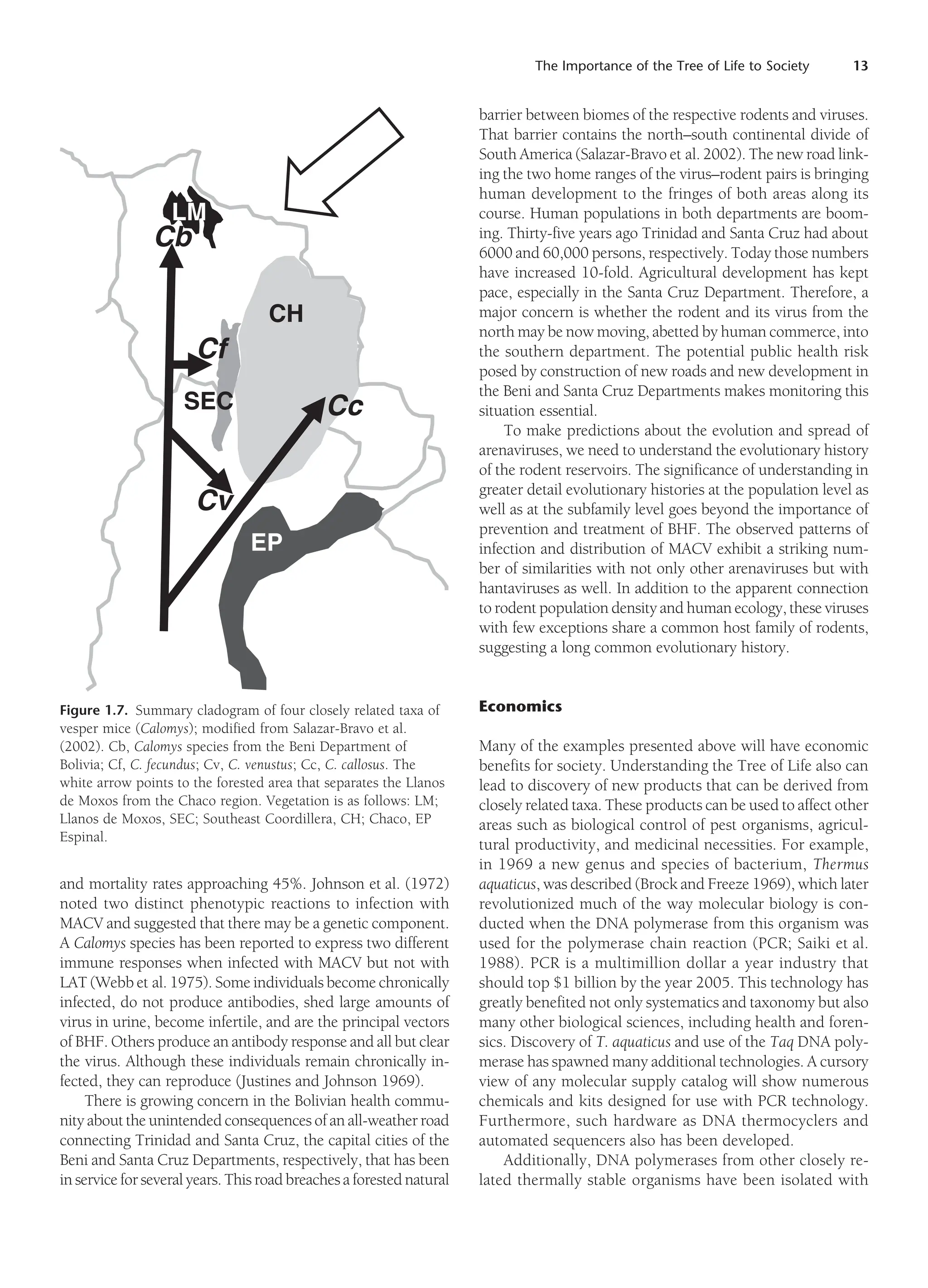 The Importance of the Tree of Life to Society 13
and mortality rates approaching 45%. Johnson et al. (1972)
noted two distinct phenotypic reactions to infection with
MACV and suggested that there may be a genetic component.
A Calomys species has been reported to express two different
immune responses when infected with MACV but not with
LAT (Webb et al. 1975). Some individuals become chronically
infected, do not produce antibodies, shed large amounts of
virus in urine, become infertile, and are the principal vectors
of BHF. Others produce an antibody response and all but clear
the virus. Although these individuals remain chronically in-
fected, they can reproduce (Justines and Johnson 1969).
There is growing concern in the Bolivian health commu-
nity about the unintended consequences of an all-weather road
connecting Trinidad and Santa Cruz, the capital cities of the
Beni and Santa Cruz Departments, respectively, that has been
in service for several years. This road breaches a forested natural
barrier between biomes of the respective rodents and viruses.
That barrier contains the north–south continental divide of
South America (Salazar-Bravo et al. 2002). The new road link-
ing the two home ranges of the virus–rodent pairs is bringing
human development to the fringes of both areas along its
course. Human populations in both departments are boom-
ing. Thirty-five years ago Trinidad and Santa Cruz had about
6000 and 60,000 persons, respectively. Today those numbers
have increased 10-fold. Agricultural development has kept
pace, especially in the Santa Cruz Department. Therefore, a
major concern is whether the rodent and its virus from the
north may be now moving, abetted by human commerce, into
the southern department. The potential public health risk
posed by construction of new roads and new development in
the Beni and Santa Cruz Departments makes monitoring this
situation essential.
To make predictions about the evolution and spread of
arenaviruses, we need to understand the evolutionary history
of the rodent reservoirs. The significance of understanding in
greater detail evolutionary histories at the population level as
well as at the subfamily level goes beyond the importance of
prevention and treatment of BHF. The observed patterns of
infection and distribution of MACV exhibit a striking num-
ber of similarities with not only other arenaviruses but with
hantaviruses as well. In addition to the apparent connection
to rodent population density and human ecology, these viruses
with few exceptions share a common host family of rodents,
suggesting a long common evolutionary history.
Economics
Many of the examples presented above will have economic
benefits for society. Understanding the Tree of Life also can
lead to discovery of new products that can be derived from
closely related taxa. These products can be used to affect other
areas such as biological control of pest organisms, agricul-
tural productivity, and medicinal necessities. For example,
in 1969 a new genus and species of bacterium, Thermus
aquaticus, was described (Brock and Freeze 1969), which later
revolutionized much of the way molecular biology is con-
ducted when the DNA polymerase from this organism was
used for the polymerase chain reaction (PCR; Saiki et al.
1988). PCR is a multimillion dollar a year industry that
should top $1 billion by the year 2005. This technology has
greatly benefited not only systematics and taxonomy but also
many other biological sciences, including health and foren-
sics. Discovery of T. aquaticus and use of the Taq DNA poly-
merase has spawned many additional technologies. A cursory
view of any molecular supply catalog will show numerous
chemicals and kits designed for use with PCR technology.
Furthermore, such hardware as DNA thermocyclers and
automated sequencers also has been developed.
Additionally, DNA polymerases from other closely re-
lated thermally stable organisms have been isolated with
Figure 1.7. Summary cladogram of four closely related taxa of
vesper mice (Calomys); modified from Salazar-Bravo et al.
(2002). Cb, Calomys species from the Beni Department of
Bolivia; Cf, C. fecundus; Cv, C. venustus; Cc, C. callosus. The
white arrow points to the forested area that separates the Llanos
de Moxos from the Chaco region. Vegetation is as follows: LM;
Llanos de Moxos, SEC; Southeast Coordillera, CH; Chaco, EP
Espinal.
LM
SEC
CH
EP
Cb
Cc
Cv
Cf
 