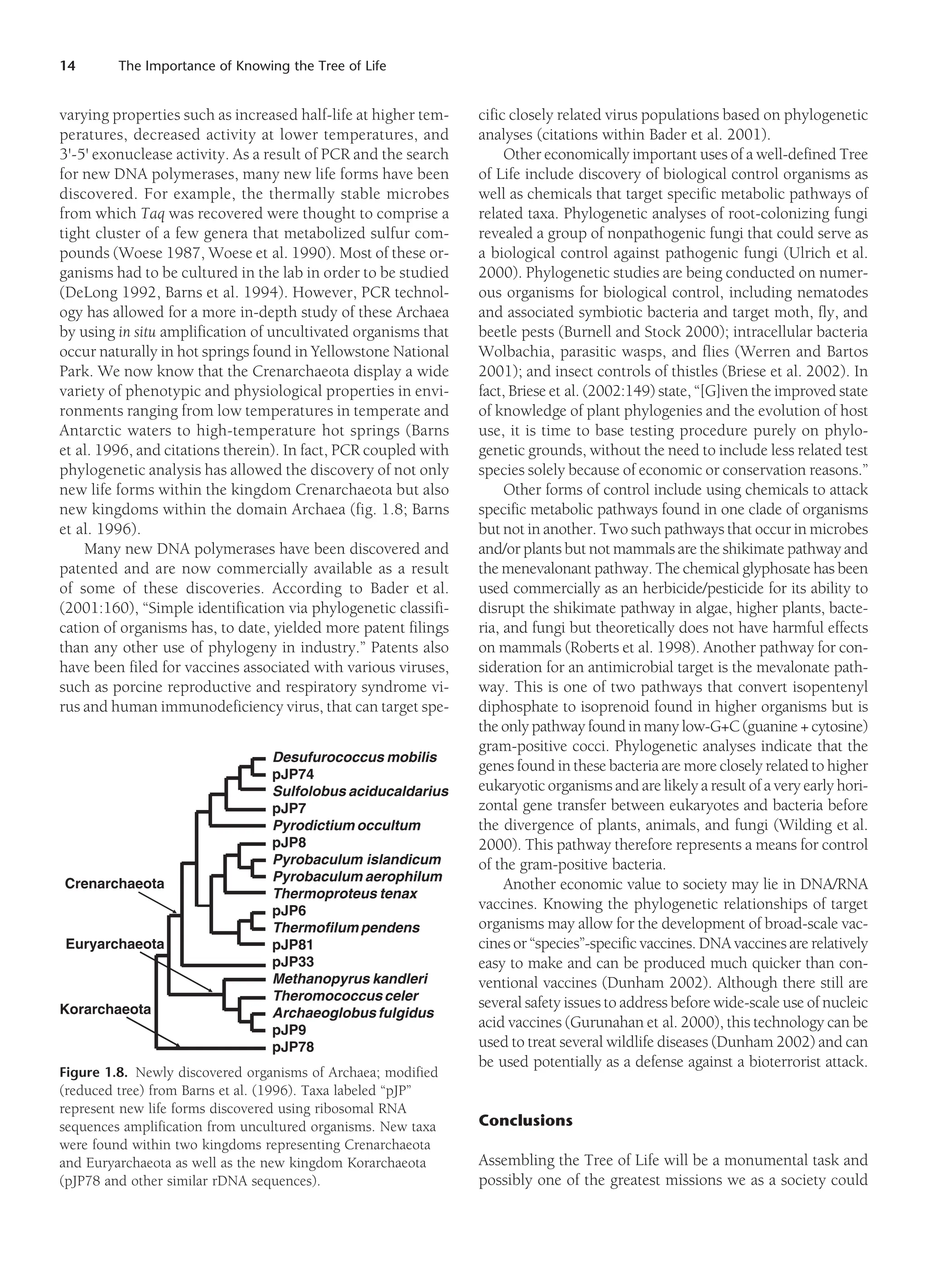 14 The Importance of Knowing the Tree of Life
varying properties such as increased half-life at higher tem-
peratures, decreased activity at lower temperatures, and
3'-5' exonuclease activity. As a result of PCR and the search
for new DNA polymerases, many new life forms have been
discovered. For example, the thermally stable microbes
from which Taq was recovered were thought to comprise a
tight cluster of a few genera that metabolized sulfur com-
pounds (Woese 1987, Woese et al. 1990). Most of these or-
ganisms had to be cultured in the lab in order to be studied
(DeLong 1992, Barns et al. 1994). However, PCR technol-
ogy has allowed for a more in-depth study of these Archaea
by using in situ amplification of uncultivated organisms that
occur naturally in hot springs found in Yellowstone National
Park. We now know that the Crenarchaeota display a wide
variety of phenotypic and physiological properties in envi-
ronments ranging from low temperatures in temperate and
Antarctic waters to high-temperature hot springs (Barns
et al. 1996, and citations therein). In fact, PCR coupled with
phylogenetic analysis has allowed the discovery of not only
new life forms within the kingdom Crenarchaeota but also
new kingdoms within the domain Archaea (fig. 1.8; Barns
et al. 1996).
Many new DNA polymerases have been discovered and
patented and are now commercially available as a result
of some of these discoveries. According to Bader et al.
(2001:160), “Simple identification via phylogenetic classifi-
cation of organisms has, to date, yielded more patent filings
than any other use of phylogeny in industry.” Patents also
have been filed for vaccines associated with various viruses,
such as porcine reproductive and respiratory syndrome vi-
rus and human immunodeficiency virus, that can target spe-
cific closely related virus populations based on phylogenetic
analyses (citations within Bader et al. 2001).
Other economically important uses of a well-defined Tree
of Life include discovery of biological control organisms as
well as chemicals that target specific metabolic pathways of
related taxa. Phylogenetic analyses of root-colonizing fungi
revealed a group of nonpathogenic fungi that could serve as
a biological control against pathogenic fungi (Ulrich et al.
2000). Phylogenetic studies are being conducted on numer-
ous organisms for biological control, including nematodes
and associated symbiotic bacteria and target moth, fly, and
beetle pests (Burnell and Stock 2000); intracellular bacteria
Wolbachia, parasitic wasps, and flies (Werren and Bartos
2001); and insect controls of thistles (Briese et al. 2002). In
fact, Briese et al. (2002:149) state, “[G]iven the improved state
of knowledge of plant phylogenies and the evolution of host
use, it is time to base testing procedure purely on phylo-
genetic grounds, without the need to include less related test
species solely because of economic or conservation reasons.”
Other forms of control include using chemicals to attack
specific metabolic pathways found in one clade of organisms
but not in another. Two such pathways that occur in microbes
and/or plants but not mammals are the shikimate pathway and
the menevalonant pathway. The chemical glyphosate has been
used commercially as an herbicide/pesticide for its ability to
disrupt the shikimate pathway in algae, higher plants, bacte-
ria, and fungi but theoretically does not have harmful effects
on mammals (Roberts et al. 1998). Another pathway for con-
sideration for an antimicrobial target is the mevalonate path-
way. This is one of two pathways that convert isopentenyl
diphosphate to isoprenoid found in higher organisms but is
the only pathway found in many low-G+C (guanine + cytosine)
gram-positive cocci. Phylogenetic analyses indicate that the
genes found in these bacteria are more closely related to higher
eukaryotic organisms and are likely a result of a very early hori-
zontal gene transfer between eukaryotes and bacteria before
the divergence of plants, animals, and fungi (Wilding et al.
2000). This pathway therefore represents a means for control
of the gram-positive bacteria.
Another economic value to society may lie in DNA/RNA
vaccines. Knowing the phylogenetic relationships of target
organisms may allow for the development of broad-scale vac-
cines or “species”-specific vaccines. DNA vaccines are relatively
easy to make and can be produced much quicker than con-
ventional vaccines (Dunham 2002). Although there still are
several safety issues to address before wide-scale use of nucleic
acid vaccines (Gurunahan et al. 2000), this technology can be
used to treat several wildlife diseases (Dunham 2002) and can
be used potentially as a defense against a bioterrorist attack.
Conclusions
Assembling the Tree of Life will be a monumental task and
possibly one of the greatest missions we as a society could
Figure 1.8. Newly discovered organisms of Archaea; modified
(reduced tree) from Barns et al. (1996). Taxa labeled “pJP”
represent new life forms discovered using ribosomal RNA
sequences amplification from uncultured organisms. New taxa
were found within two kingdoms representing Crenarchaeota
and Euryarchaeota as well as the new kingdom Korarchaeota
(pJP78 and other similar rDNA sequences).
Desufurococcus mobilis
pJP74
Sulfolobus aciducaldarius
pJP7
Pyrodictium occultum
pJP8
Pyrobaculum islandicum
Pyrobaculum aerophilum
Thermoproteus tenax
pJP6
Thermofilum pendens
pJP81
pJP33
Methanopyrus kandleri
Theromococcus celer
Archaeoglobus fulgidus
pJP9
pJP78
Crenarchaeota
Euryarchaeota
Korarchaeota
 