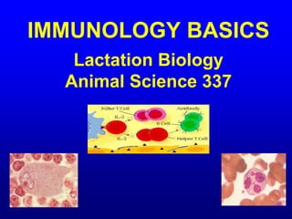 IMMUNOLOGY BASICS
Lactation Biology
Animal Science 337
 