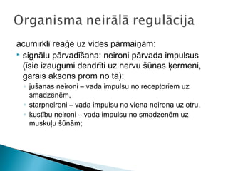 acumirklī reaģē uz vides pārmaiņām:
 signālu pārvadīšana: neironi pārvada impulsus
(īsie izaugumi dendrīti uz nervu šūnas ķermeni,
garais aksons prom no tā):
◦ jušanas neironi – vada impulsu no receptoriem uz
smadzenēm,
◦ starpneironi – vada impulsu no viena neirona uz otru,
◦ kustību neironi – vada impulsu no smadzenēm uz
muskuļu šūnām;
 