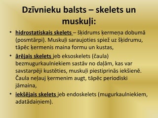 11 33 manjas_balsts | PPT