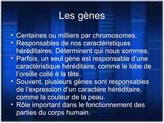 Les gènes
• Centaines ou milliers par chromosomes.
• Responsables de nos caractéristiques
héréditaires. Déterminent qui nous sommes.
• Parfois, un seul gène est responsable d’une
caractéristique héréditaire, comme le lobe de
l’oreille collé à la tête.
• Souvent, plusieurs gènes sont responsables
de l’expression d’un caractère héréditaire,
comme la couleur de la peau.
• Rôle important dans le fonctionnement des
parties du corps humain.
 