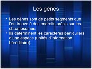 Les gènes
• Les gènes sont de petits segments que
l’on trouve à des endroits précis sur les
chromosomes.
• Ils déterminent les caractères particuliers
d’une espèce (unités d’information
héréditaire).
 