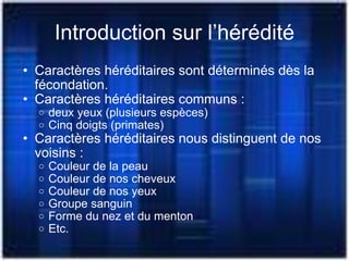 Introduction sur l’hérédité Caractères héréditaires sont déterminés dès la fécondation. Caractères héréditaires communs : deux yeux (plusieurs espèces) Cinq doigts (primates) Caractères héréditaires nous distinguent de nos voisins : Couleur de la peau Couleur de nos cheveux Couleur de nos yeux Groupe sanguin Forme du nez et du menton Etc. 