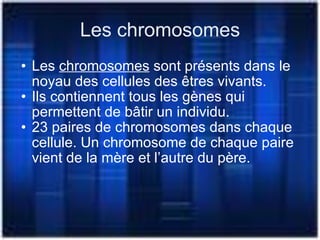 Les chromosomes Les  chromosomes  sont présents dans le noyau des cellules des êtres vivants. Ils contiennent tous les gènes qui permettent de bâtir un individu. 23 paires de chromosomes dans chaque cellule. Un chromosome de chaque paire vient de la mère et l’autre du père. 