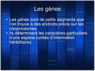 Les gènes Les gènes sont de petits segments que l’on trouve à des endroits précis sur les chromosomes. Ils déterminent les caractères particuliers d’une espèce (unités d’information héréditaire). 