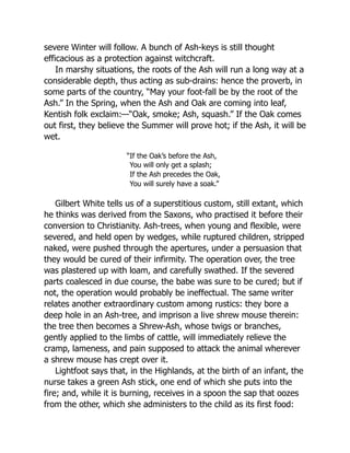 severe Winter will follow. A bunch of Ash-keys is still thought
efficacious as a protection against witchcraft.
In marshy situations, the roots of the Ash will run a long way at a
considerable depth, thus acting as sub-drains: hence the proverb, in
some parts of the country, “May your foot-fall be by the root of the
Ash.” In the Spring, when the Ash and Oak are coming into leaf,
Kentish folk exclaim:—“Oak, smoke; Ash, squash.” If the Oak comes
out first, they believe the Summer will prove hot; if the Ash, it will be
wet.
“If the Oak’s before the Ash,
You will only get a splash;
If the Ash precedes the Oak,
You will surely have a soak.”
Gilbert White tells us of a superstitious custom, still extant, which
he thinks was derived from the Saxons, who practised it before their
conversion to Christianity. Ash-trees, when young and flexible, were
severed, and held open by wedges, while ruptured children, stripped
naked, were pushed through the apertures, under a persuasion that
they would be cured of their infirmity. The operation over, the tree
was plastered up with loam, and carefully swathed. If the severed
parts coalesced in due course, the babe was sure to be cured; but if
not, the operation would probably be ineffectual. The same writer
relates another extraordinary custom among rustics: they bore a
deep hole in an Ash-tree, and imprison a live shrew mouse therein:
the tree then becomes a Shrew-Ash, whose twigs or branches,
gently applied to the limbs of cattle, will immediately relieve the
cramp, lameness, and pain supposed to attack the animal wherever
a shrew mouse has crept over it.
Lightfoot says that, in the Highlands, at the birth of an infant, the
nurse takes a green Ash stick, one end of which she puts into the
fire; and, while it is burning, receives in a spoon the sap that oozes
from the other, which she administers to the child as its first food:
 