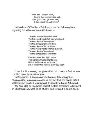 “Even Ash I thee do pluck,
Hoping thus to meet good luck.
If no good luck I get from thee,
I shall wish thee on the tree.”
In Henderson’s ‘Northern Folk-lore,’ occur the following lines
regarding the virtues of even Ash-leaves:—
“The even Ash-leaf in my left hand,
The first man I meet shall be my husband.
The even Ash-leaf in my glove,
The first I meet shall be my love.
The even Ash-leaf for my breast,
The first man I meet’s whom I love best.
The even Ash-leaf in my hand,
The first I meet shall be my man.”
“Even Ash, even Ash, I pluck thee,
This night my true love for to see;
Neither in his rick nor in his rear,
But in the clothes he does every day wear.”
It is a tradition among the gipsies that the cross our Saviour was
crucified upon was made of Ash.
In Devonshire, it is customary to burn an Ashen faggot at
Christmastide, in commemoration of the fact that the Divine Infant
at Bethlehem was first washed and dressed by a fire of Ash-wood.
The Yule-clog or -log which ancient custom prescribes to be burnt
on Christmas Eve, used to be of Ash: thus we read in an old poem:—
 