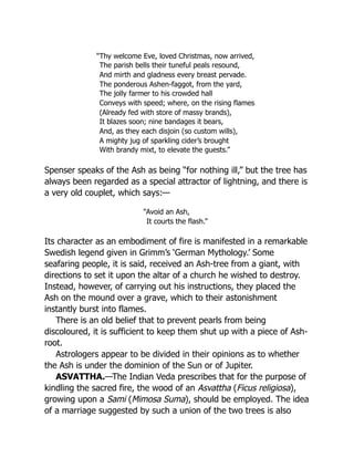 “Thy welcome Eve, loved Christmas, now arrived,
The parish bells their tuneful peals resound,
And mirth and gladness every breast pervade.
The ponderous Ashen-faggot, from the yard,
The jolly farmer to his crowded hall
Conveys with speed; where, on the rising flames
(Already fed with store of massy brands),
It blazes soon; nine bandages it bears,
And, as they each disjoin (so custom wills),
A mighty jug of sparkling cider’s brought
With brandy mixt, to elevate the guests.”
Spenser speaks of the Ash as being “for nothing ill,” but the tree has
always been regarded as a special attractor of lightning, and there is
a very old couplet, which says:—
“Avoid an Ash,
It courts the flash.”
Its character as an embodiment of fire is manifested in a remarkable
Swedish legend given in Grimm’s ‘German Mythology.’ Some
seafaring people, it is said, received an Ash-tree from a giant, with
directions to set it upon the altar of a church he wished to destroy.
Instead, however, of carrying out his instructions, they placed the
Ash on the mound over a grave, which to their astonishment
instantly burst into flames.
There is an old belief that to prevent pearls from being
discoloured, it is sufficient to keep them shut up with a piece of Ash-
root.
Astrologers appear to be divided in their opinions as to whether
the Ash is under the dominion of the Sun or of Jupiter.
ASVATTHA.—The Indian Veda prescribes that for the purpose of
kindling the sacred fire, the wood of an Asvattha (Ficus religiosa),
growing upon a Sami (Mimosa Suma), should be employed. The idea
of a marriage suggested by such a union of the two trees is also
 