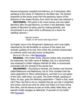became temporarily stupefied and delirious, as if intoxicated, after
partaking of the honey of Trebizond on the Black Sea. The baneful
properties of this honey arose from the poisonous nature of the
blossoms of the Azalea Pontica, from which the bees had collected it.
BACCHARIS.—This plant is the Inula Conyza, and was called
Baccharis after the god Bacchus, to whom it was dedicated. Virgil
speaks of Baccharis as being used for making garlands, and
recommends it as a plant which is efficacious as a charm for
repelling calumny—
“Bacchari frontem
Cingite, ne vati noceat mala lingua futuro.”
Its English name is the Ploughman’s Spikenard; and it was highly
esteemed by the old herbalists on account of the sweet and
aromatic qualities of its root, from which the ancients compounded
an ointment which was also known as Baccharis.
Bachelor’s Buttons.—See Ranunculus.
BALBAGA.—The Indian Grass, Eleusine Indica, had, according to
De Gubernatis, the Vedic name of Balbaja: and, as a sacred herb,
was employed in Indian religious festivals for litter, in ceremonials
connected with the worship of the sacred Cow.
BALDMONEY.—According to Gerarde, the Gentian was formerly
called Baldmoyne and Baldmoney; but Dr. Prior considers that the
name appertains to Meum athamanticum, and that it is a corruption
of the Latin valde bona, very good. The Grete Herball, speaking of
Sistra, he says, gives the following explanation:—“Sistra is Dyll, some
call it Mew; but that is not so. Howbeit they be very like in properties
and vertue, and be put eche for other; but Sistra is of more vertue
then Mew, and the leaves be lyke an herbe called Valde Bona, and
beareth smaller sprigges as Spiknarde. It groweth on hye hylles”
(See Feldwode).
 