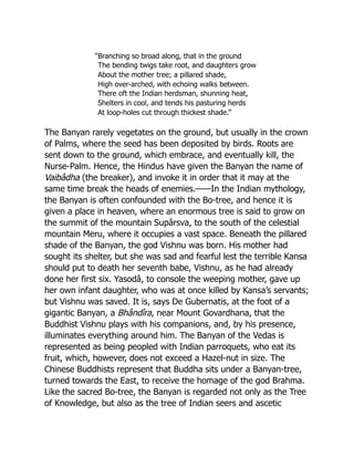 “Branching so broad along, that in the ground
The bending twigs take root, and daughters grow
About the mother tree; a pillared shade,
High over-arched, with echoing walks between.
There oft the Indian herdsman, shunning heat,
Shelters in cool, and tends his pasturing herds
At loop-holes cut through thickest shade.”
The Banyan rarely vegetates on the ground, but usually in the crown
of Palms, where the seed has been deposited by birds. Roots are
sent down to the ground, which embrace, and eventually kill, the
Nurse-Palm. Hence, the Hindus have given the Banyan the name of
Vaibâdha (the breaker), and invoke it in order that it may at the
same time break the heads of enemies.——In the Indian mythology,
the Banyan is often confounded with the Bo-tree, and hence it is
given a place in heaven, where an enormous tree is said to grow on
the summit of the mountain Supârsva, to the south of the celestial
mountain Meru, where it occupies a vast space. Beneath the pillared
shade of the Banyan, the god Vishnu was born. His mother had
sought its shelter, but she was sad and fearful lest the terrible Kansa
should put to death her seventh babe, Vishnu, as he had already
done her first six. Yasodâ, to console the weeping mother, gave up
her own infant daughter, who was at once killed by Kansa’s servants;
but Vishnu was saved. It is, says De Gubernatis, at the foot of a
gigantic Banyan, a Bhândîra, near Mount Govardhana, that the
Buddhist Vishnu plays with his companions, and, by his presence,
illuminates everything around him. The Banyan of the Vedas is
represented as being peopled with Indian parroquets, who eat its
fruit, which, however, does not exceed a Hazel-nut in size. The
Chinese Buddhists represent that Buddha sits under a Banyan-tree,
turned towards the East, to receive the homage of the god Brahma.
Like the sacred Bo-tree, the Banyan is regarded not only as the Tree
of Knowledge, but also as the tree of Indian seers and ascetic
 
