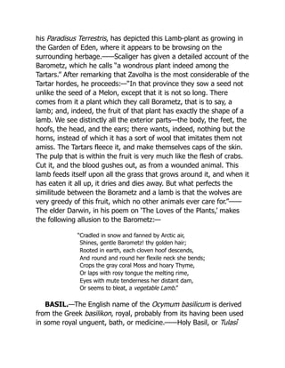 his Paradisus Terrestris, has depicted this Lamb-plant as growing in
the Garden of Eden, where it appears to be browsing on the
surrounding herbage.——Scaliger has given a detailed account of the
Barometz, which he calls “a wondrous plant indeed among the
Tartars.” After remarking that Zavolha is the most considerable of the
Tartar hordes, he proceeds:—“In that province they sow a seed not
unlike the seed of a Melon, except that it is not so long. There
comes from it a plant which they call Borametz, that is to say, a
lamb; and, indeed, the fruit of that plant has exactly the shape of a
lamb. We see distinctly all the exterior parts—the body, the feet, the
hoofs, the head, and the ears; there wants, indeed, nothing but the
horns, instead of which it has a sort of wool that imitates them not
amiss. The Tartars fleece it, and make themselves caps of the skin.
The pulp that is within the fruit is very much like the flesh of crabs.
Cut it, and the blood gushes out, as from a wounded animal. This
lamb feeds itself upon all the grass that grows around it, and when it
has eaten it all up, it dries and dies away. But what perfects the
similitude between the Borametz and a lamb is that the wolves are
very greedy of this fruit, which no other animals ever care for.”——
The elder Darwin, in his poem on ‘The Loves of the Plants,’ makes
the following allusion to the Barometz:—
“Cradled in snow and fanned by Arctic air,
Shines, gentle Barometz! thy golden hair;
Rooted in earth, each cloven hoof descends,
And round and round her flexile neck she bends;
Crops the gray coral Moss and hoary Thyme,
Or laps with rosy tongue the melting rime,
Eyes with mute tenderness her distant dam,
Or seems to bleat, a vegetable Lamb.”
BASIL.—The English name of the Ocymum basilicum is derived
from the Greek basilikon, royal, probably from its having been used
in some royal unguent, bath, or medicine.——Holy Basil, or Tulasî
 