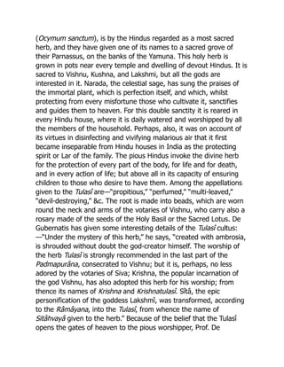 (Ocymum sanctum), is by the Hindus regarded as a most sacred
herb, and they have given one of its names to a sacred grove of
their Parnassus, on the banks of the Yamuna. This holy herb is
grown in pots near every temple and dwelling of devout Hindus. It is
sacred to Vishnu, Kushna, and Lakshmi, but all the gods are
interested in it. Narada, the celestial sage, has sung the praises of
the immortal plant, which is perfection itself, and which, whilst
protecting from every misfortune those who cultivate it, sanctifies
and guides them to heaven. For this double sanctity it is reared in
every Hindu house, where it is daily watered and worshipped by all
the members of the household. Perhaps, also, it was on account of
its virtues in disinfecting and vivifying malarious air that it first
became inseparable from Hindu houses in India as the protecting
spirit or Lar of the family. The pious Hindus invoke the divine herb
for the protection of every part of the body, for life and for death,
and in every action of life; but above all in its capacity of ensuring
children to those who desire to have them. Among the appellations
given to the Tulasî are—“propitious,” “perfumed,” “multi-leaved,”
“devil-destroying,” &c. The root is made into beads, which are worn
round the neck and arms of the votaries of Vishnu, who carry also a
rosary made of the seeds of the Holy Basil or the Sacred Lotus. De
Gubernatis has given some interesting details of the Tulasî cultus:
—“Under the mystery of this herb,” he says, “created with ambrosia,
is shrouded without doubt the god-creator himself. The worship of
the herb Tulasî is strongly recommended in the last part of the
Padmapurâna, consecrated to Vishnu; but it is, perhaps, no less
adored by the votaries of Siva; Krishna, the popular incarnation of
the god Vishnu, has also adopted this herb for his worship; from
thence its names of Krishna and Krishnatulasî. Sîtâ, the epic
personification of the goddess Lakshmî, was transformed, according
to the Râmâyana, into the Tulasî, from whence the name of
Sitâhvayâ given to the herb.” Because of the belief that the Tulasî
opens the gates of heaven to the pious worshipper, Prof. De
 