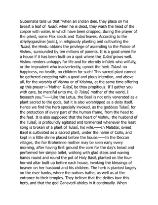 Gubernatis tells us that “when an Indian dies, they place on his
breast a leaf of Tulasî; when he is dead, they wash the head of the
corpse with water, in which have been dropped, during the prayer of
the priest, some Flax seeds and Tulasî leaves. According to the
Kriyâyogasâras (xxiii.), in religiously planting and cultivating the
Tulasî, the Hindu obtains the privilege of ascending to the Palace of
Vishnu, surrounded by ten millions of parents. It is a good omen for
a house if it has been built on a spot where the Tulasî grows well.
Vishnu renders unhappy for life and for eternity infidels who wilfully,
or the imprudent who inadvertently, uproot the herb Tulasî: no
happiness, no health, no children for such! This sacred plant cannot
be gathered excepting with a good and pious intention, and above
all, for the worship of Vishnu or of Krishna, at the same time offering
up this prayer:—‘Mother Tulasî, be thou propitious. If I gather you
with care, be merciful unto me, O Tulasî, mother of the world, I
beseech you.’”——Like the Lotus, the Basil is not only venerated as a
plant sacred to the gods, but it is also worshipped as a deity itself.
Hence we find the herb specially invoked, as the goddess Tulasî, for
the protection of every part of the human frame, from the head to
the feet. It is also supposed that the heart of Vishnu, the husband of
the Tulasî, is profoundly agitated and tormented whenever the least
sprig is broken of a plant of Tulasî, his wife.——In Malabar, sweet
Basil is cultivated as a sacred plant, under the name of Collo, and
kept in a little shrine placed before the house.——In the Deccan
villages, the fair Brahminee mother may be seen early every
morning, after having first ground the corn for the day’s bread and
performed her simple toilet, walking with glad steps and waving
hands round and round the pot of Holy Basil, planted on the four-
horned altar built up before each house, invoking the blessings of
heaven on her husband and his children. The herb is planted largely
on the river banks, where the natives bathe, as well as at the
entrance to their temples. They believe that the deities love this
herb, and that the god Ganavedi abides in it continually. When
 