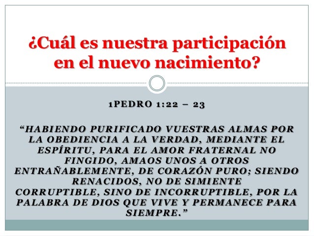 113771886 Cual Es Nuestra Participacion En El Nuevo