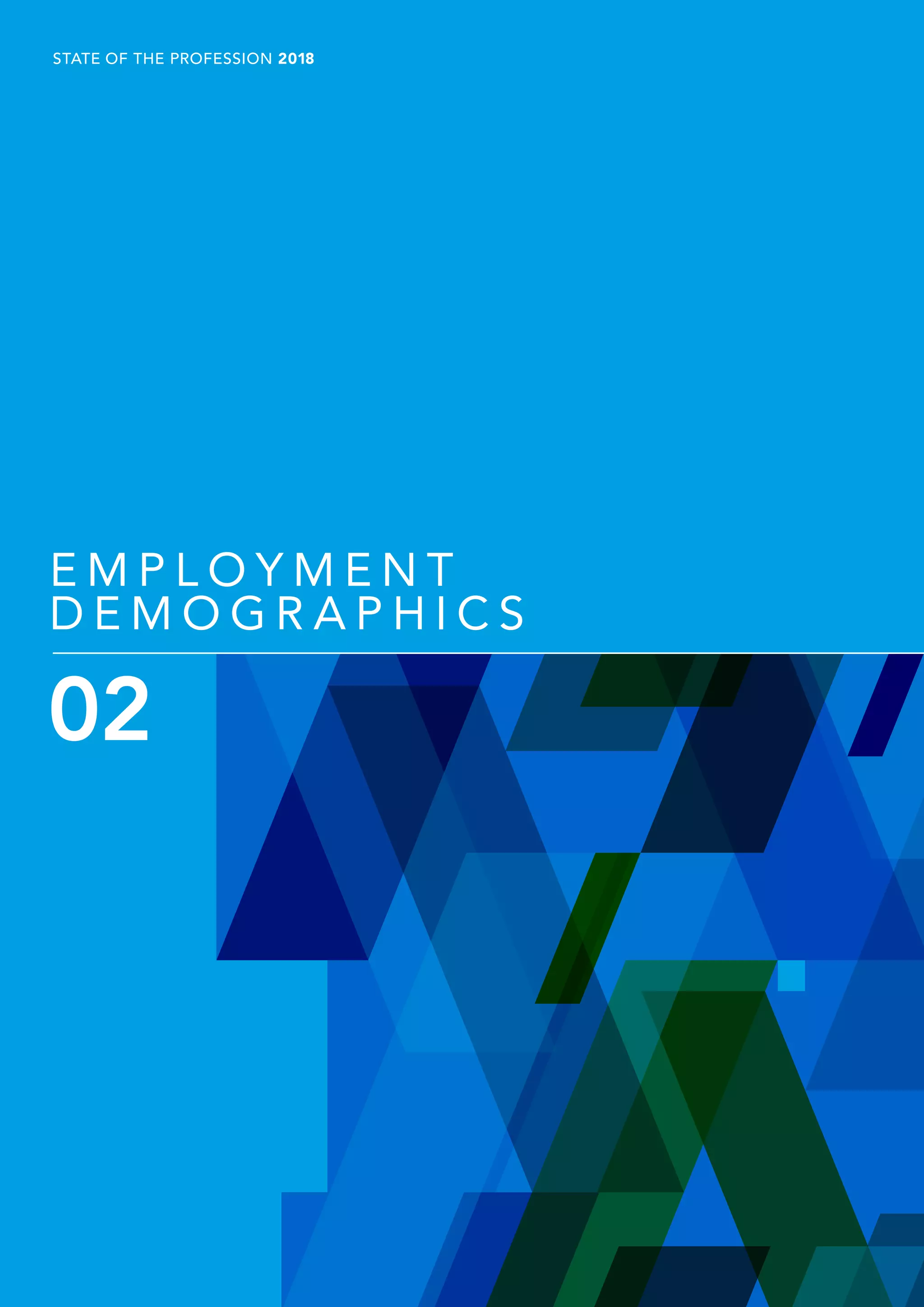 P11
STATE OF THE PROFESSION 2018
E M P L O Y M E N T
D E M O G R A P H I C S
02
 